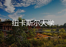 紐卡斯爾大學(xué)